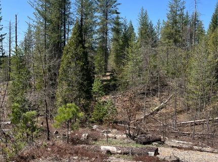 6493 Greeley Hill Rd, Coulterville, CA 95311 Photo