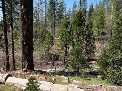 6493 Greeley Hill Rd, Coulterville, CA 95311 Photo
