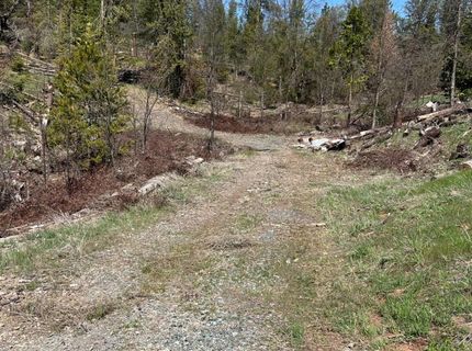 6493 Greeley Hill Rd, Coulterville, CA 95311 Photo