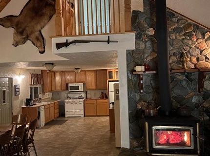 1339 Ararat Dr, Bucks Lake, CA 95971 Photo