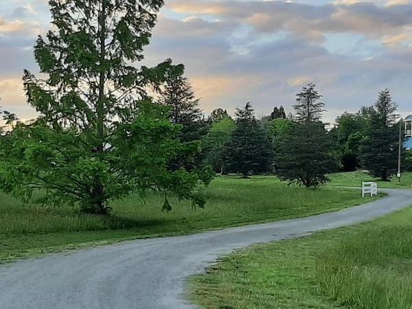 5902 PATRIOT HIGHWAY, WOODFORD, VA 22580