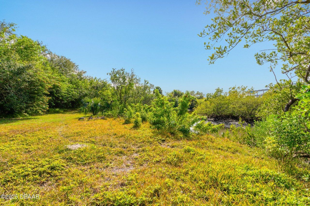 4770 S Peninsula Drive, Ponce Inlet, FL 32127 Photo