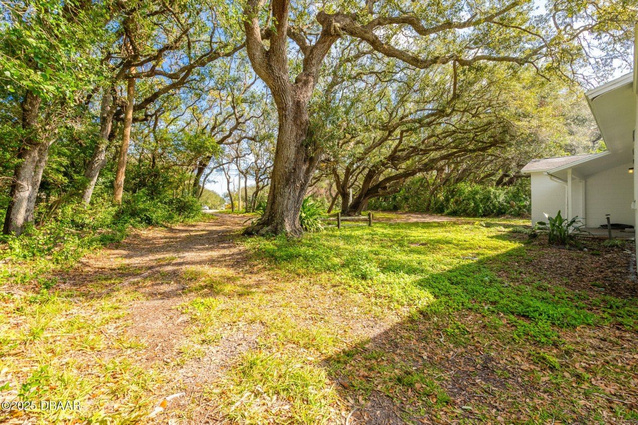 4770 S Peninsula Drive, Ponce Inlet, FL 32127 Photo