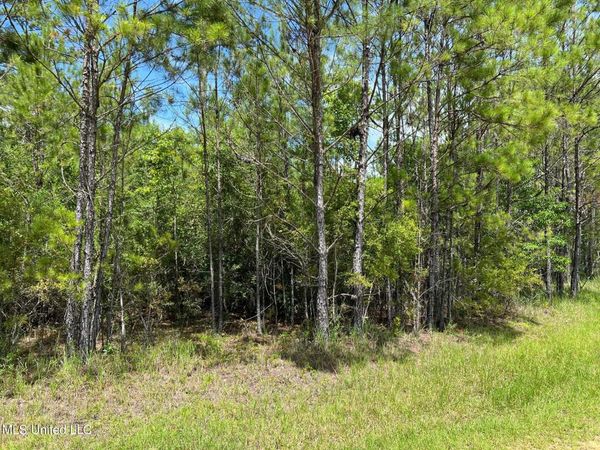 Lot 111 River Place, Vancleave, MS 39565