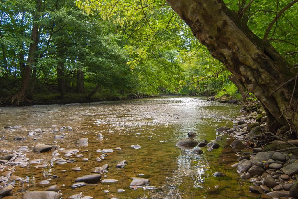 Martin Way, Newport, TN 37821 Main Photo