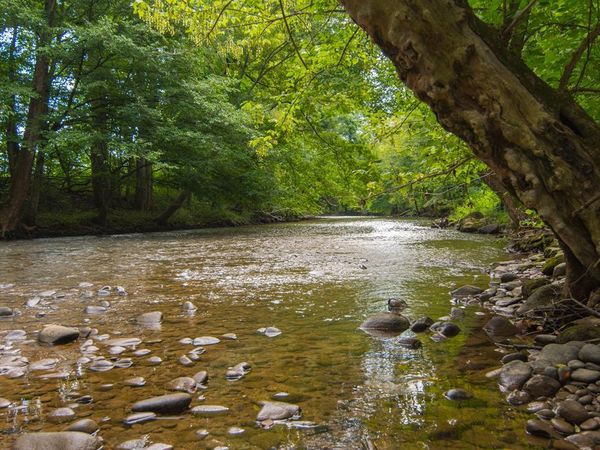 Martin Way, Newport, TN 37821