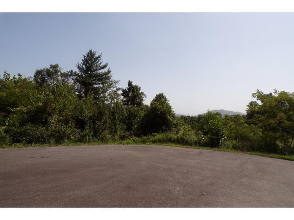 Tbd Arrowhead Trail Lot 12, Mountain City, TN 37683