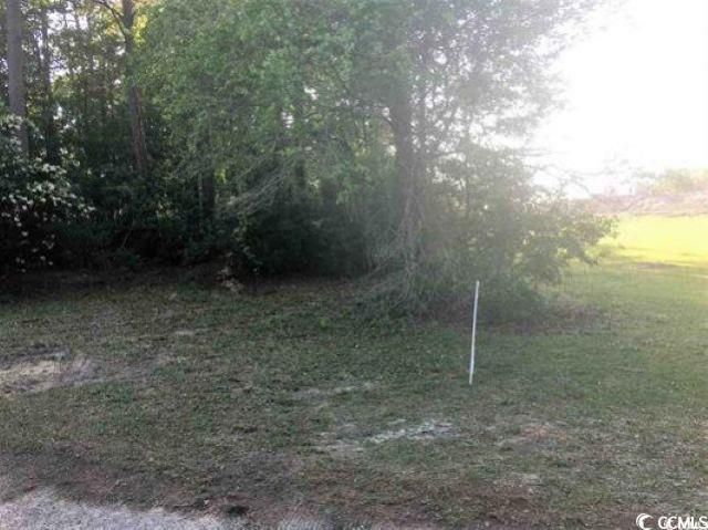 Lot 10 Golf Ave. Photo 1