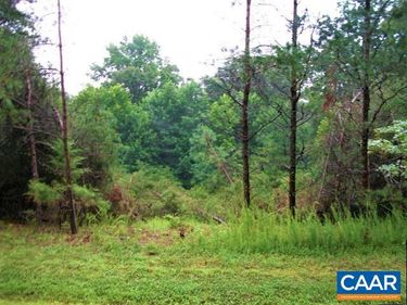 Lot 24 WOODTHRUSH LN, Barboursville, VA 22923