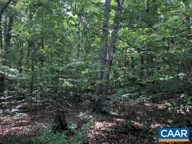 Lot 41 Foxwood Dr, Barboursville, VA 22923 Main Photo