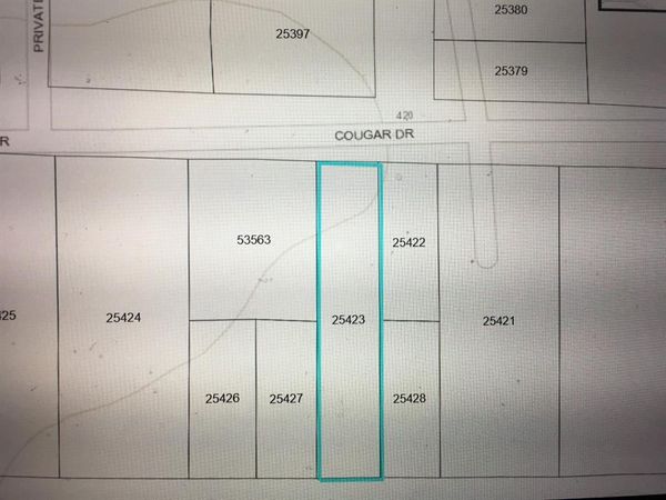 456 Cougar Drive, Buna, TX 77612