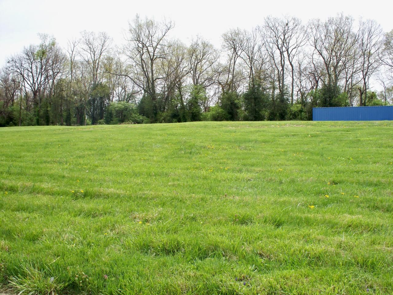 305 Kentucky Avenue, Versailles, KY 40383 Main Photo