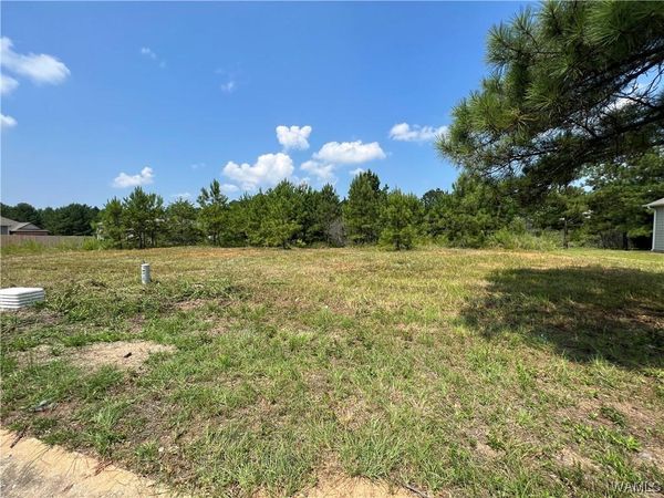 0101 Crimson Ridge Rd lot 101, Brookwood, AL 35444
