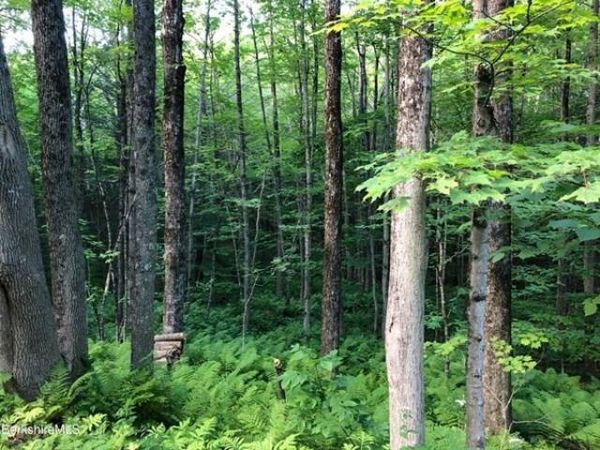 220 Hawley Rd, Ashfield, MA 01330