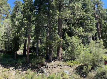 1880 Apache Court, Olympic Valley, CA 96146 Photo