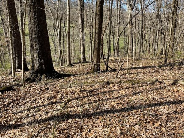 2057 Hillsboro, Franklin, TN 37069