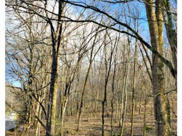 8171 McCrory Ln, Nashville, TN 37221