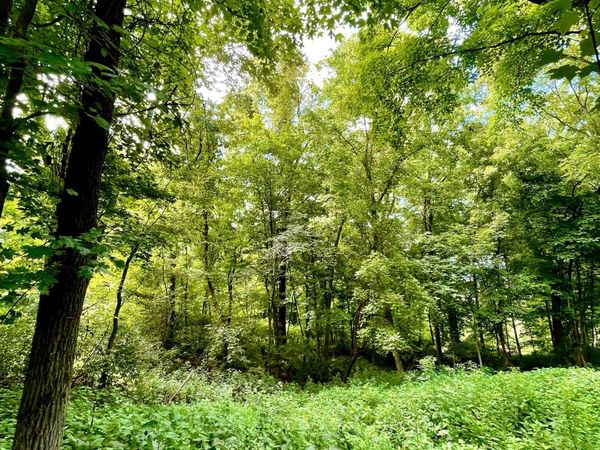 1708 Woodsong Drive, Brentwood, TN 37027