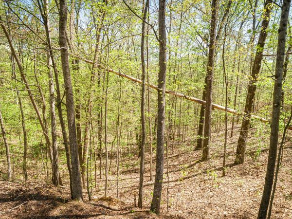 0 Fawn Ridge Rd, Parsons, TN 38363