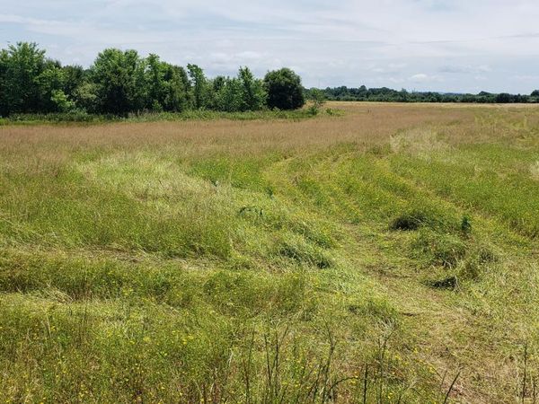 5 Webb lane, Smithville, TN 37166