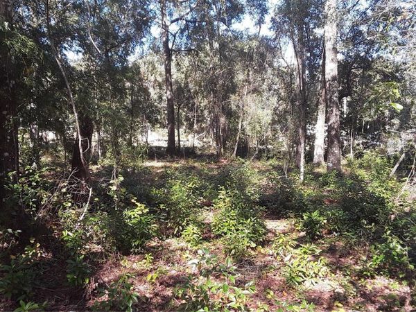 NE 169TH PLACE PLACE, CITRA, FL 32113