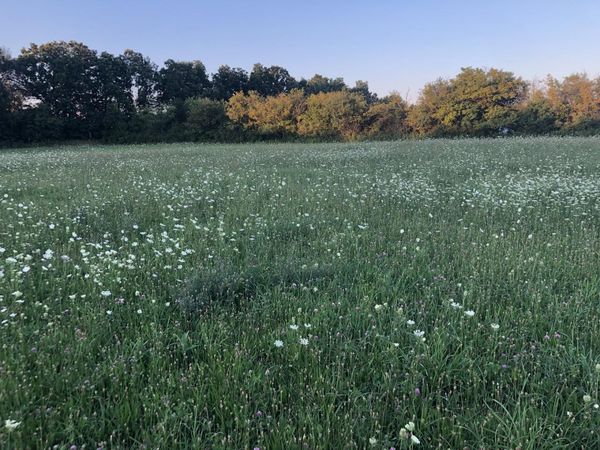 40369 N Belle Foret Drive, Wadsworth, IL 60083