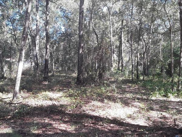 NE 68TH COURT, CITRA, FL 32113