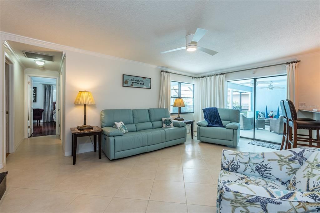 910 Chipaway Drive, Apollo Beach, FL 33572 Photo