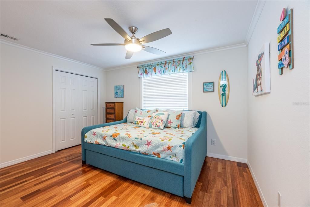 910 Chipaway Drive, Apollo Beach, FL 33572 Photo