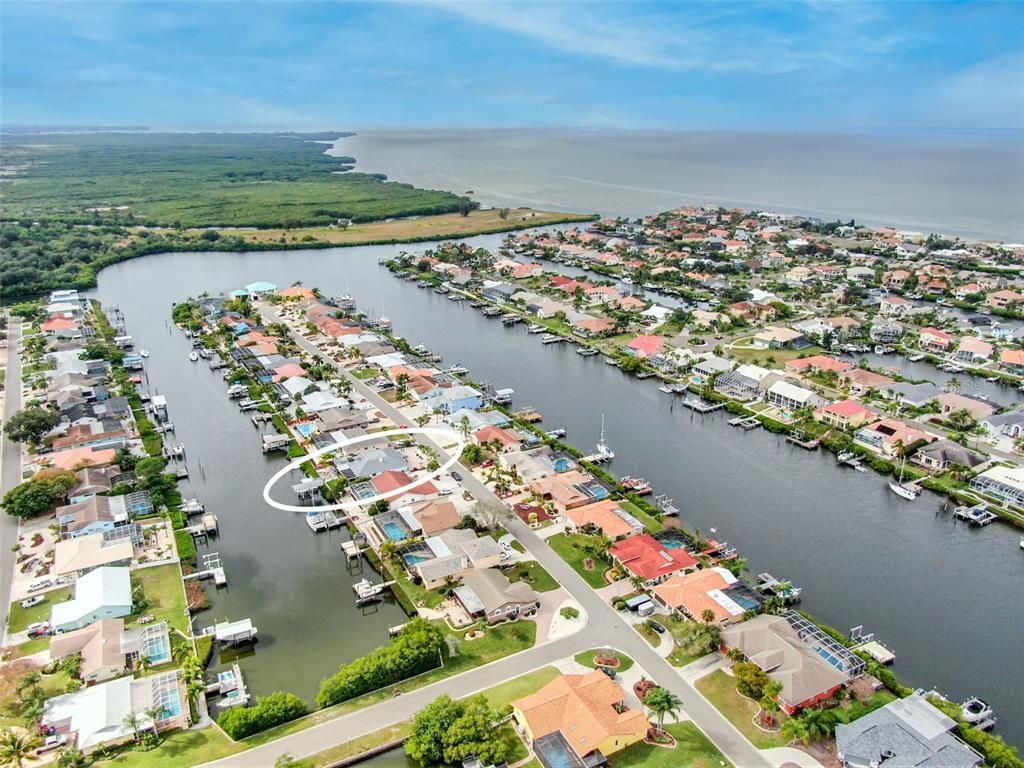 910 Chipaway Drive, Apollo Beach, FL 33572 Photo