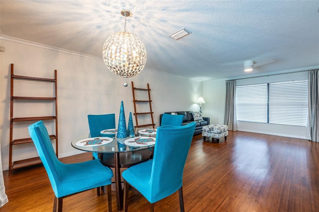 910 Chipaway Drive, Apollo Beach, FL 33572 Photo