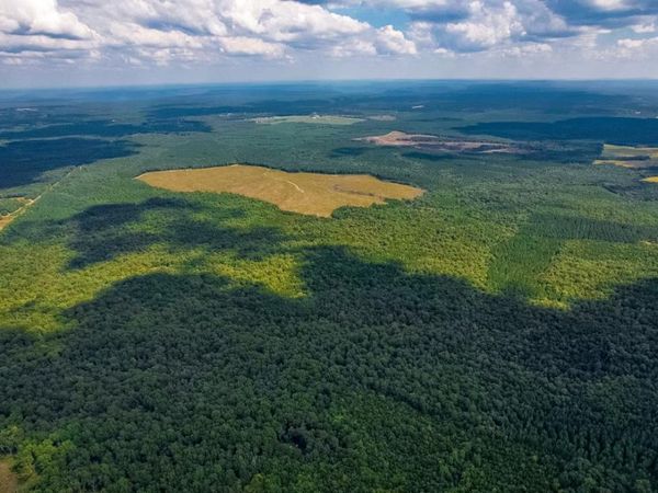 16226 SR 50, Altamont, TN 37301