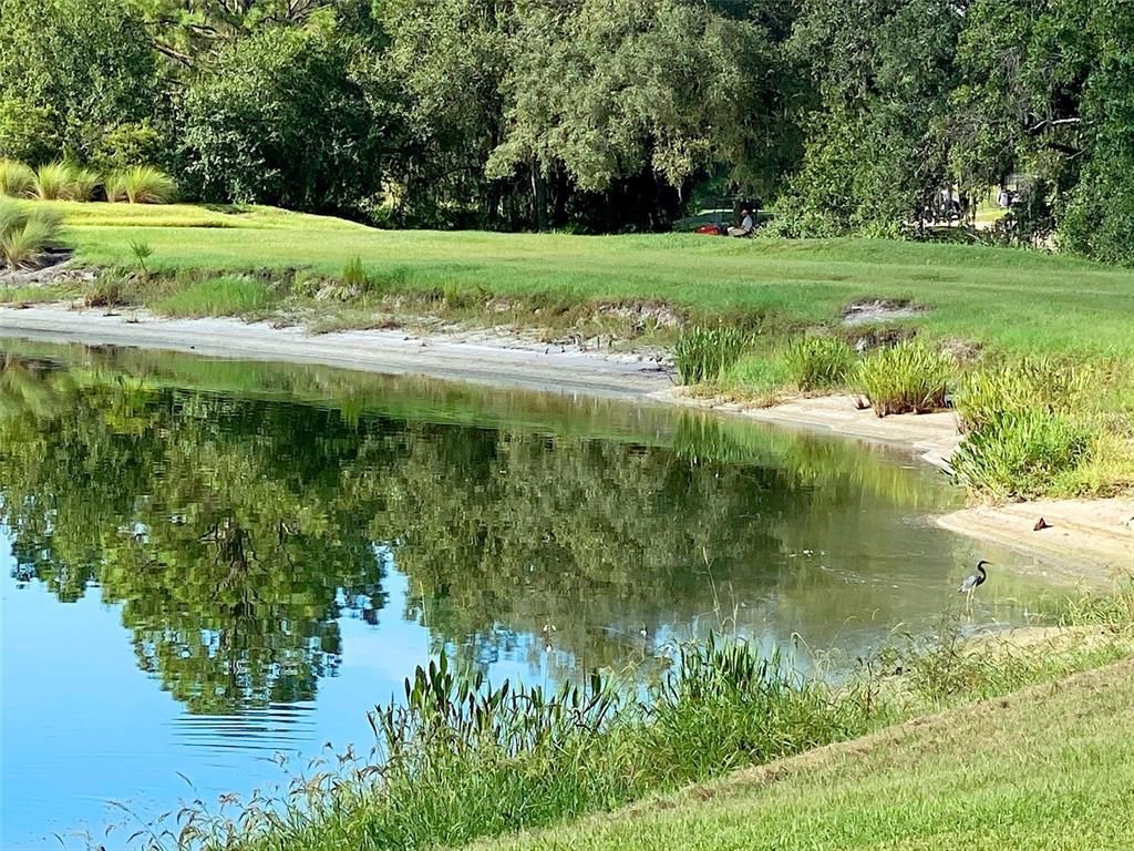 16706 Vardon Terrace, Unit 102, Bradenton, FL 34211 Photo