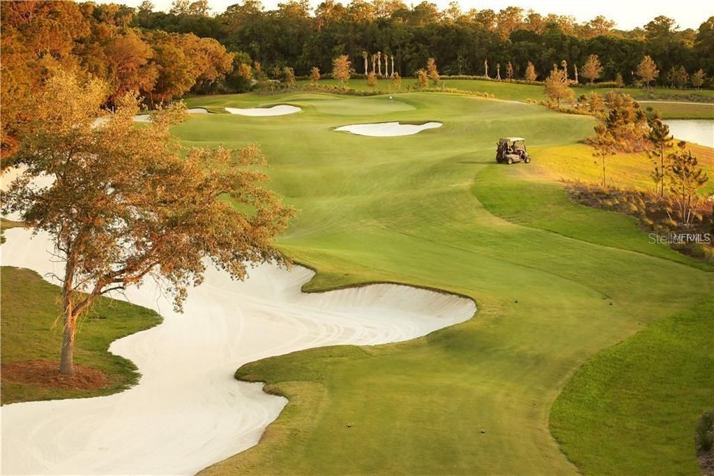 16706 Vardon Terrace, Unit 102, Bradenton, FL 34211 Photo