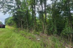 1 Freedom Road photo 4