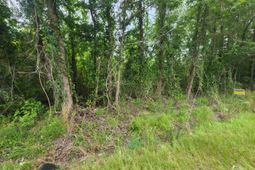 1 Freedom Road photo 4