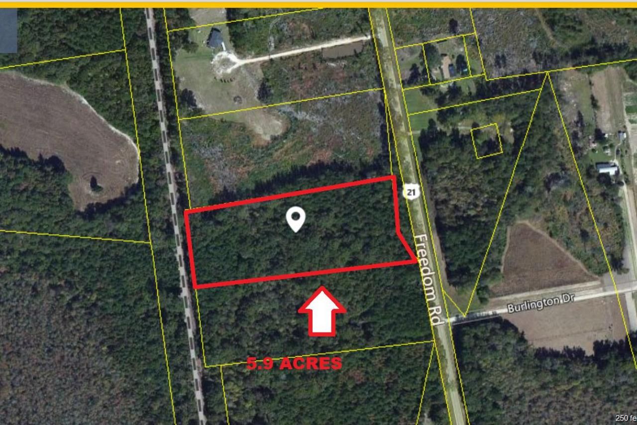 1 Freedom Road Photo 4