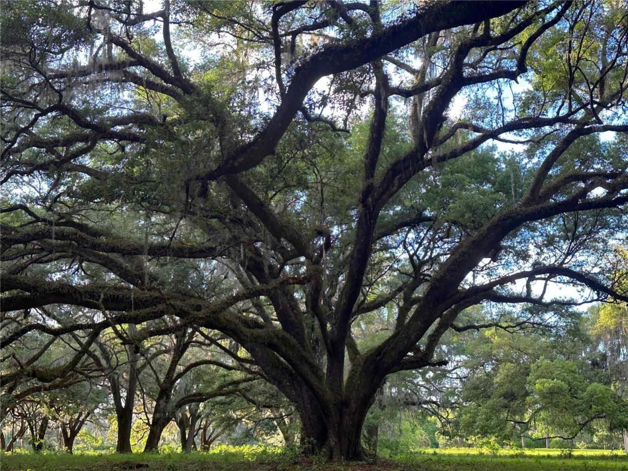 18001 SE Hawthorne Road, Hawthorne, FL 32640 Photo