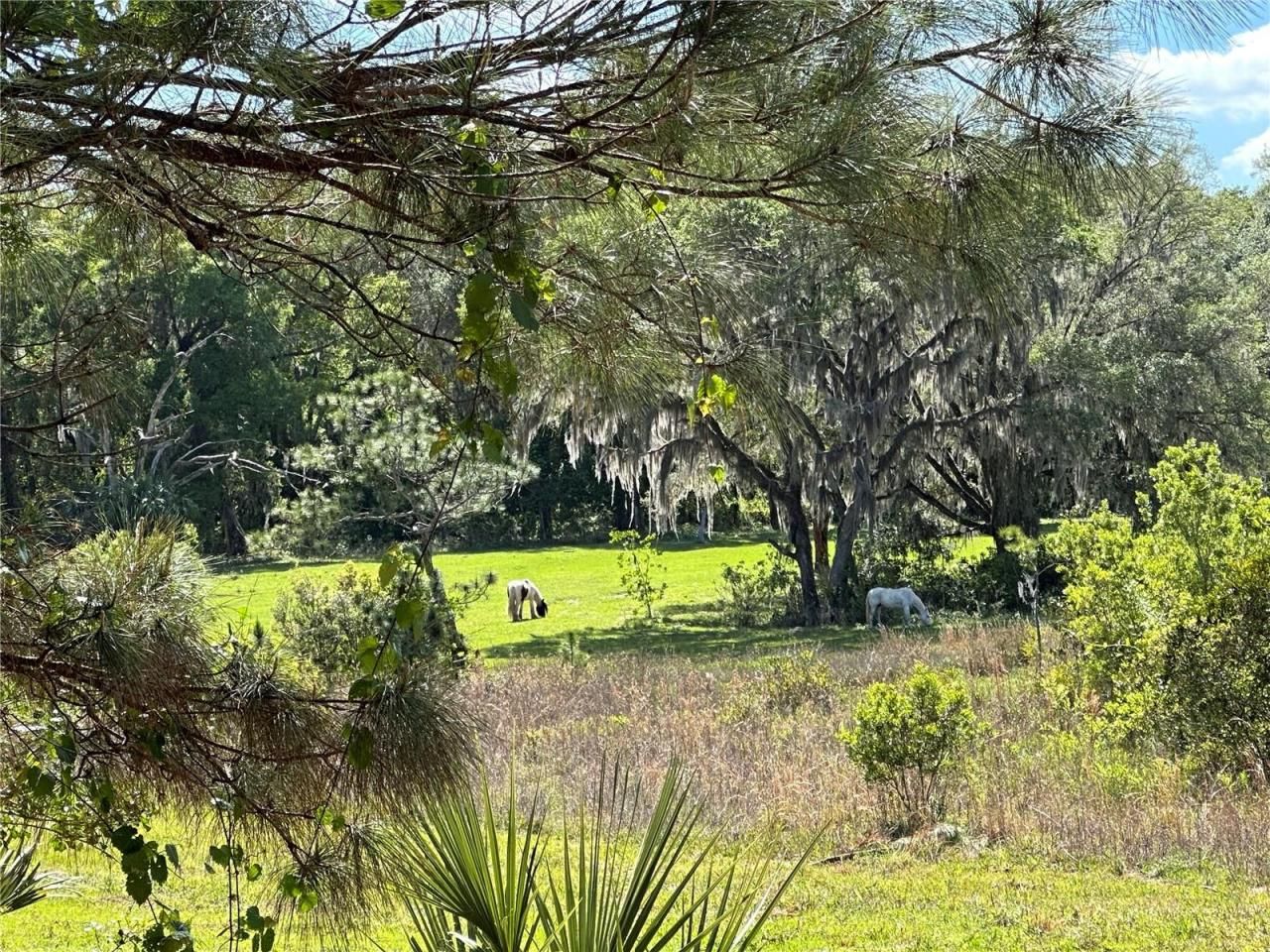 18001 SE Hawthorne Road, Hawthorne, FL 32640 Photo