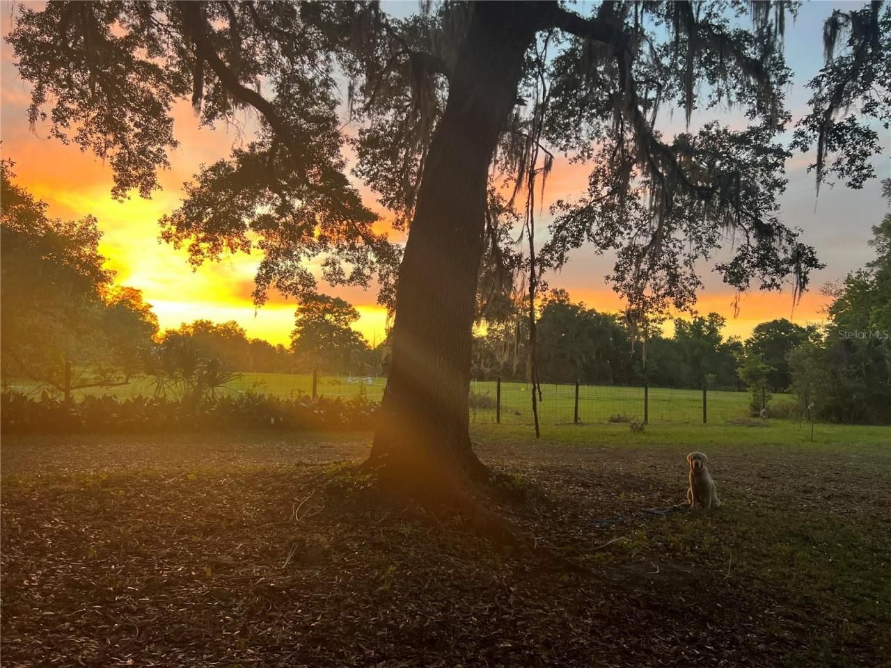 18001 SE Hawthorne Road, Hawthorne, FL 32640 Photo