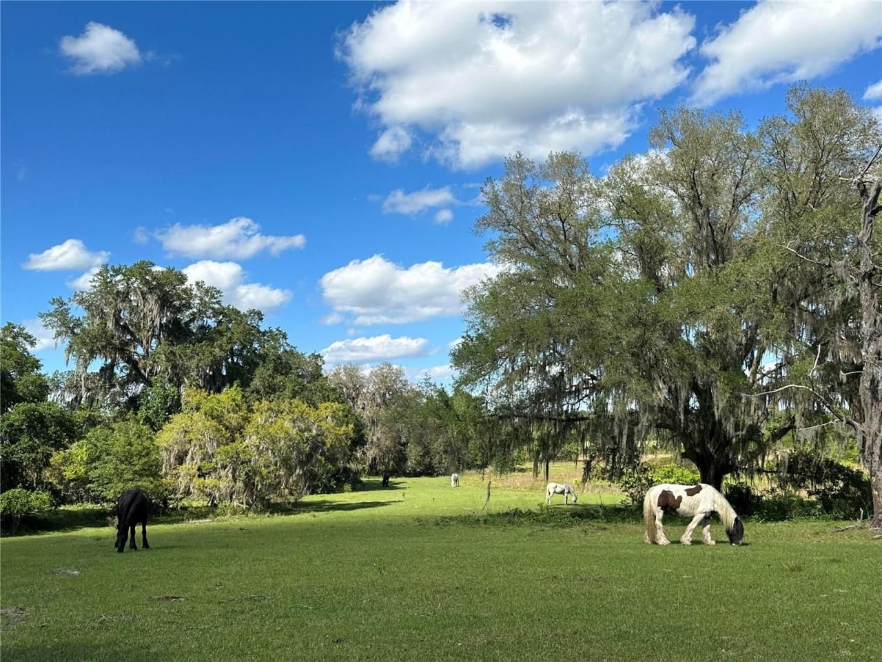 18001 SE Hawthorne Road, Hawthorne, FL 32640 Photo