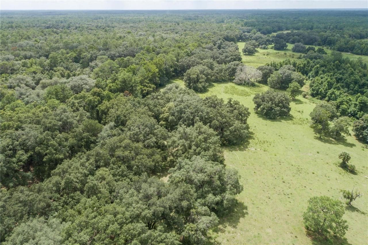 18001 SE Hawthorne Road, Hawthorne, FL 32640 Photo