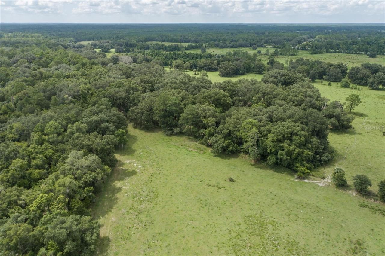 18001 SE Hawthorne Road, Hawthorne, FL 32640 Photo