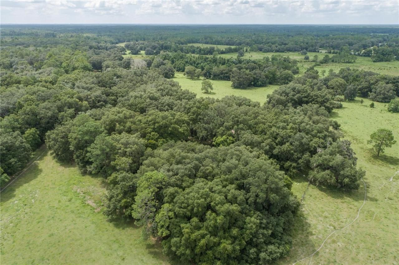 18001 SE Hawthorne Road, Hawthorne, FL 32640 Photo