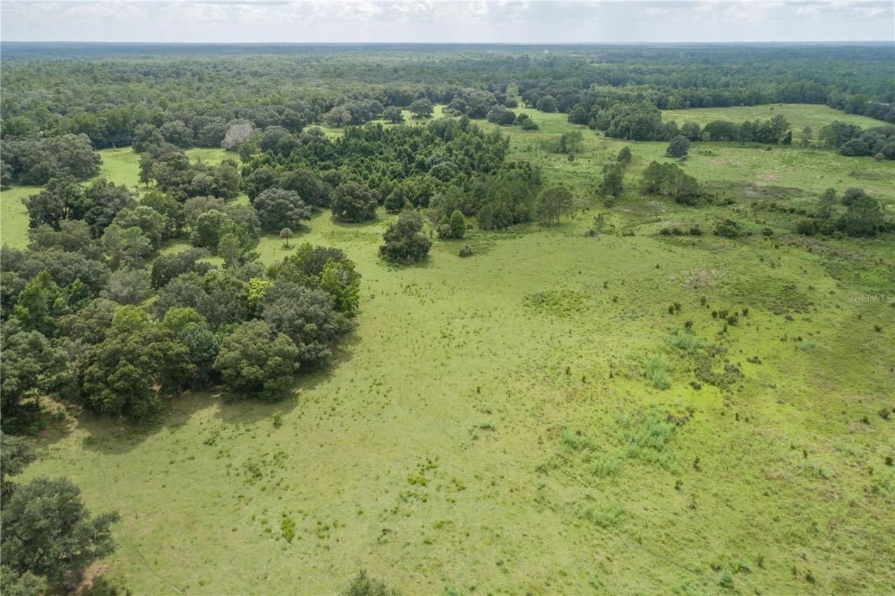 18001 SE Hawthorne Road, Hawthorne, FL 32640 Photo