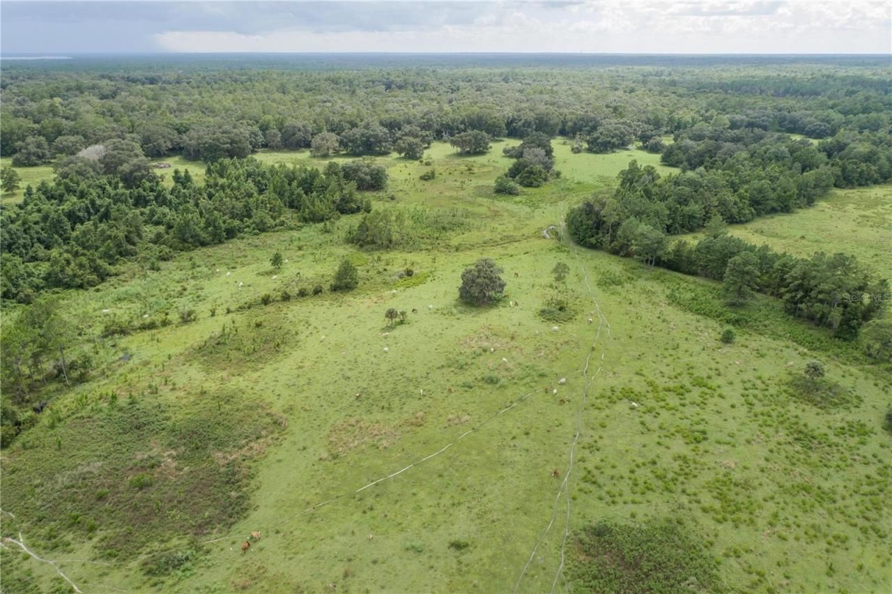 18001 SE Hawthorne Road, Hawthorne, FL 32640 Photo