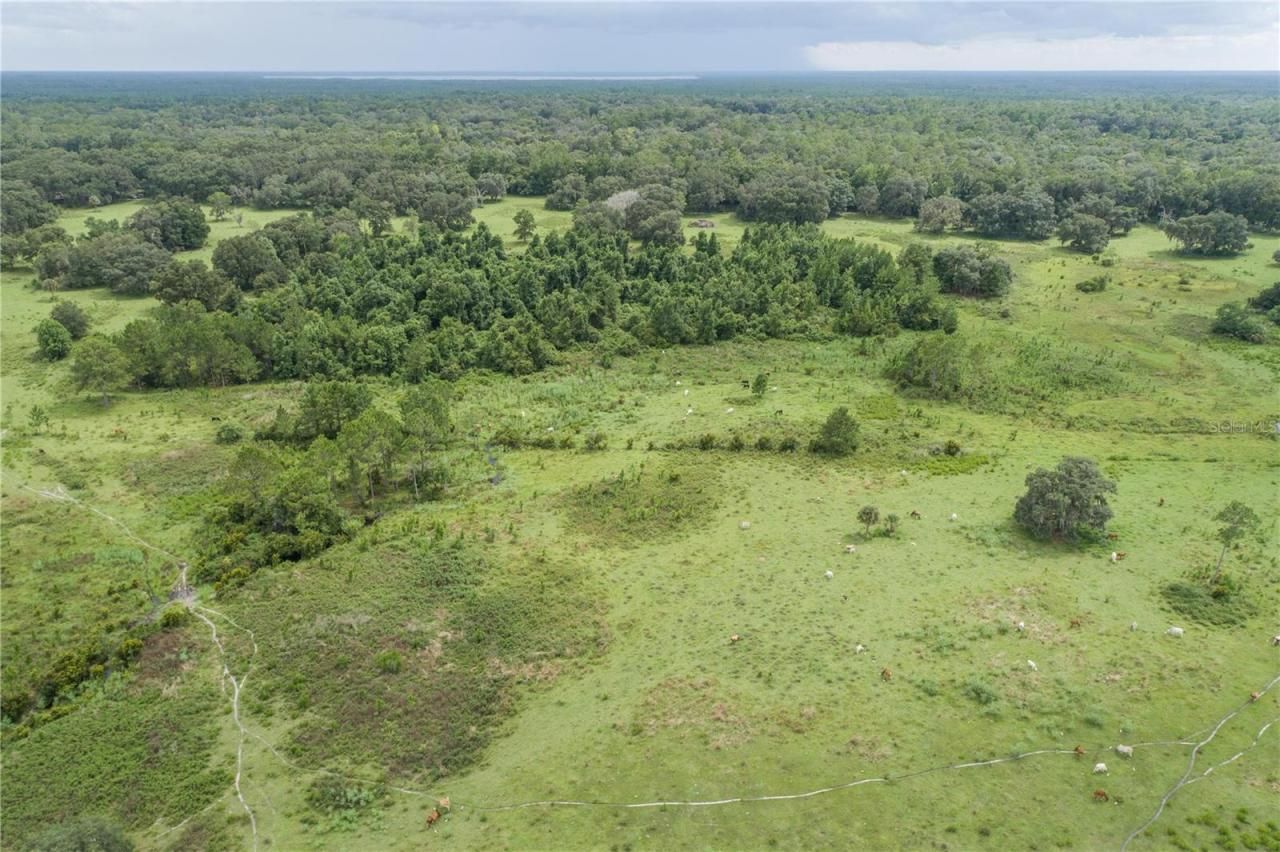 18001 SE Hawthorne Road, Hawthorne, FL 32640 Photo