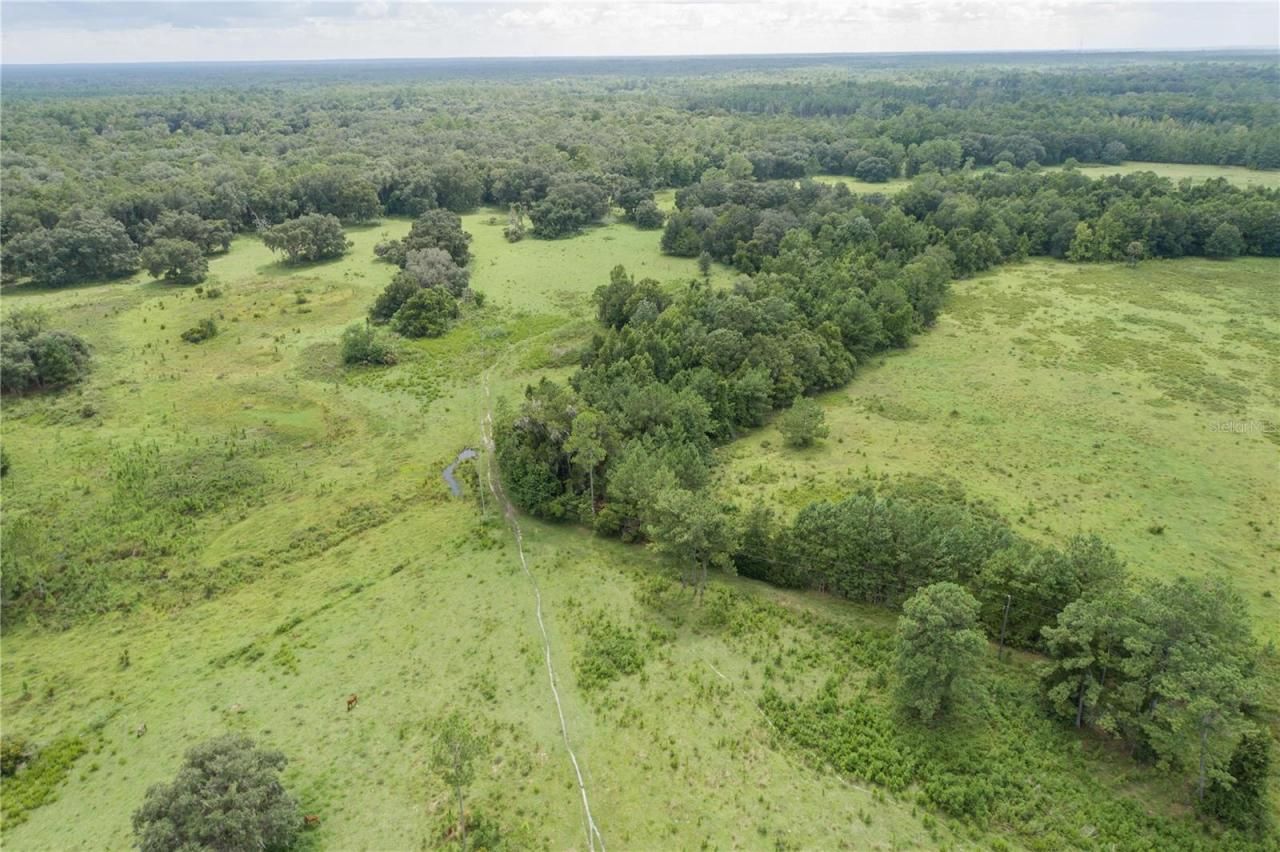 18001 SE Hawthorne Road, Hawthorne, FL 32640 Photo