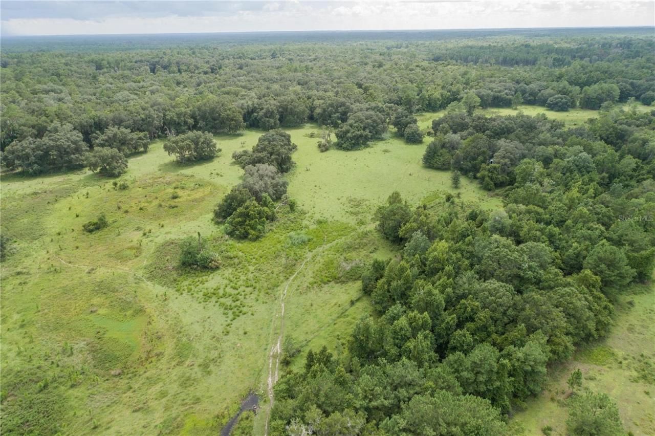 18001 SE Hawthorne Road, Hawthorne, FL 32640 Photo