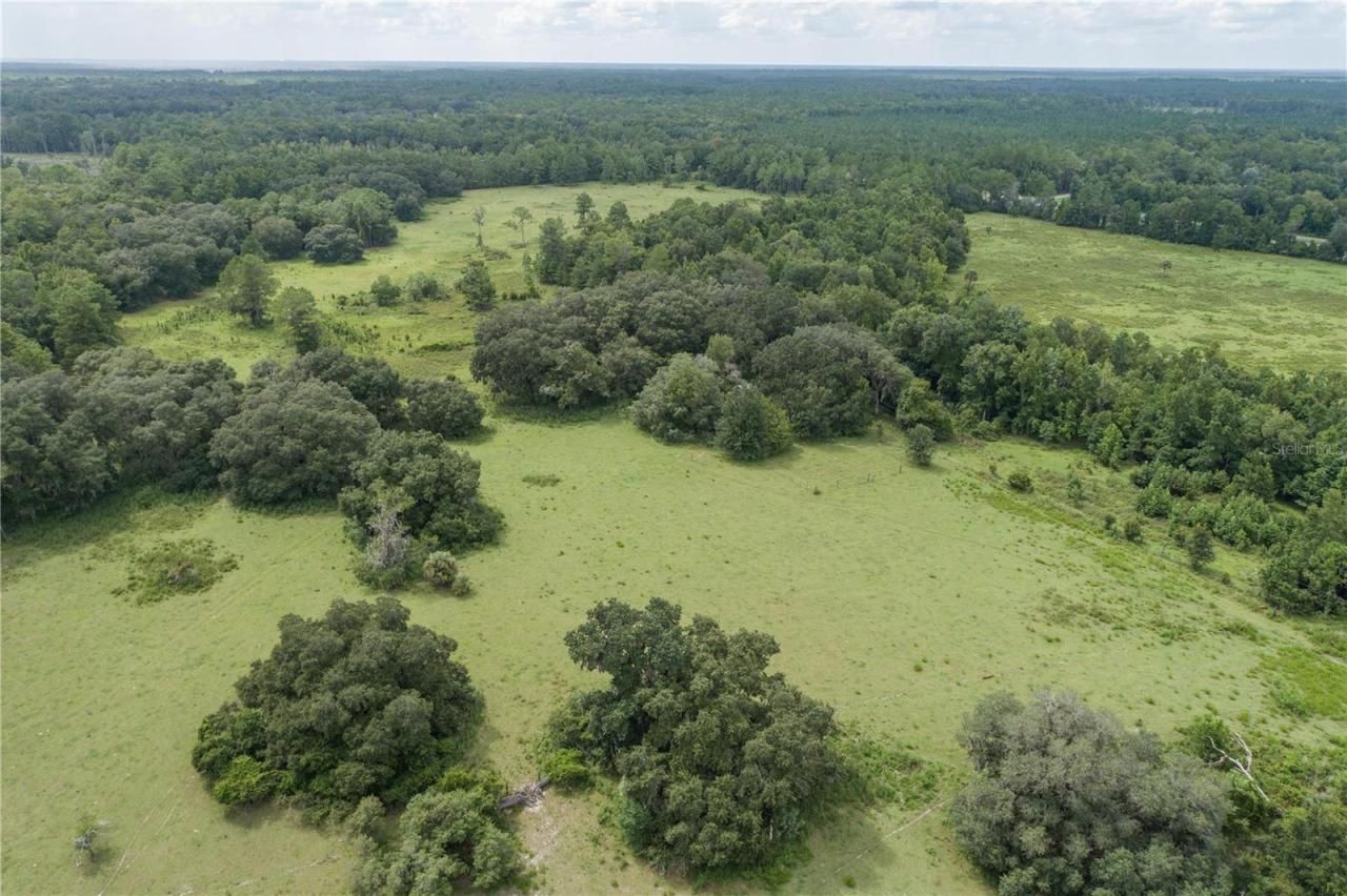 18001 SE Hawthorne Road, Hawthorne, FL 32640 Photo